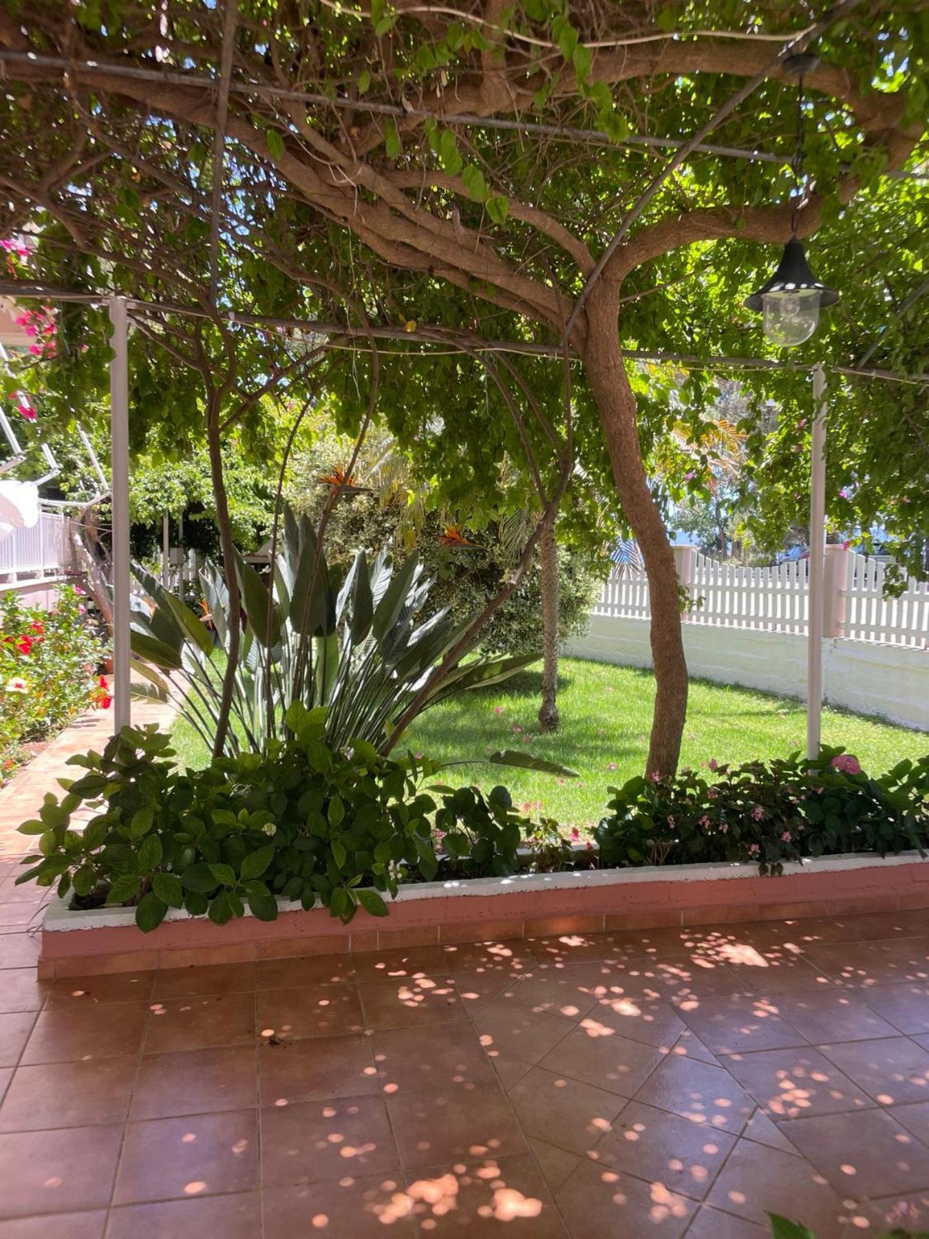 Buganvillas Studios بريفيزا المظهر الخارجي الصورة