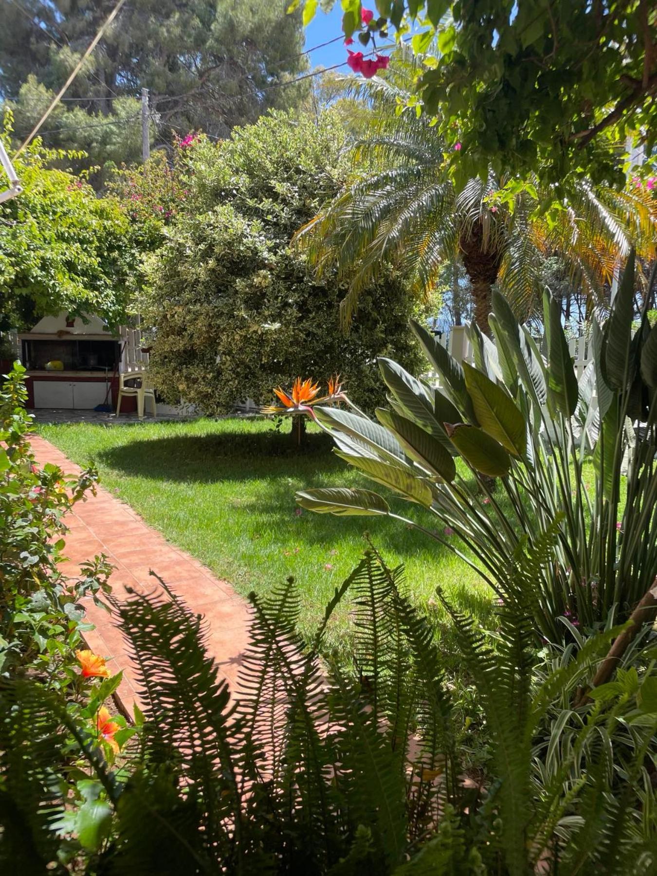 Buganvillas Studios بريفيزا المظهر الخارجي الصورة